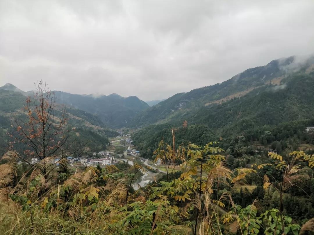 【宣传系统“五支队伍”下沉一线·记者蹲点】松桃陆家坝村｜大山深处的致富经