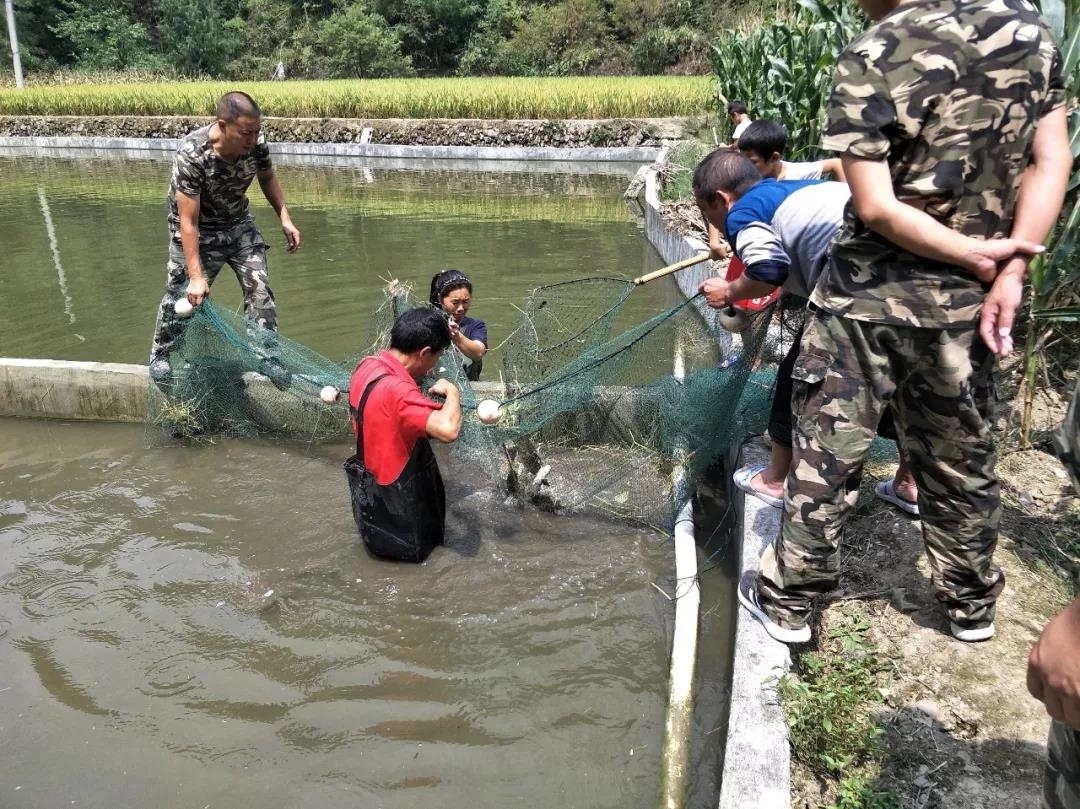 【宣传系统“五支队伍”下沉一线·记者蹲点】松桃简家沟村｜产业破题未来可期