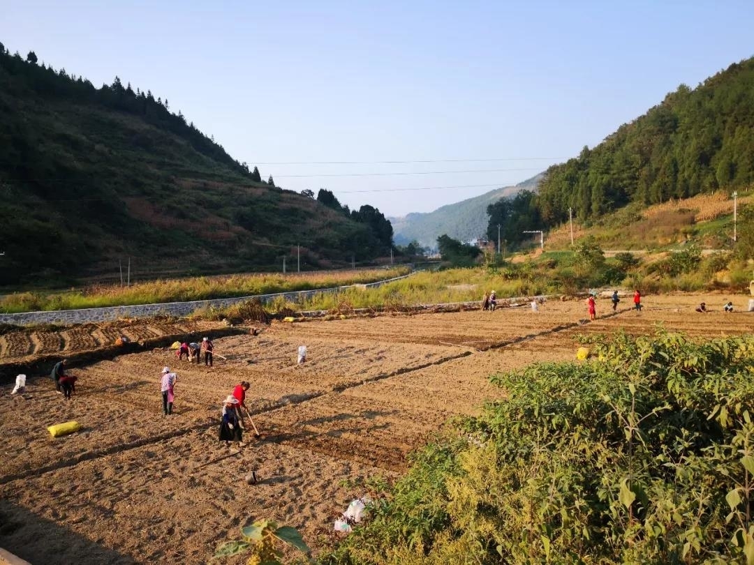 【宣传系统“五支队伍”下沉一线·记者蹲点】松桃简家沟村｜产业破题未来可期