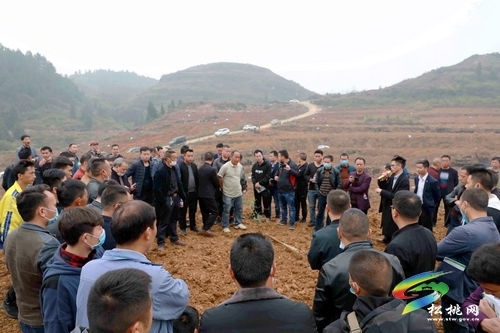 全县油茶种植技术现场培训会召开