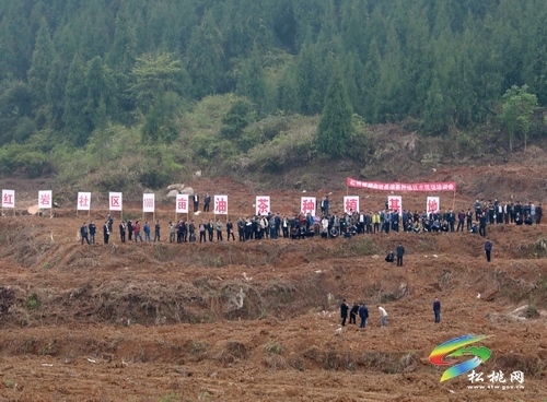 全县油茶种植技术现场培训会召开