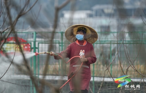 【把时间抢回来 把损失补回来】孟溪镇：深入推进农村产业革命，农业产业发展提速升级