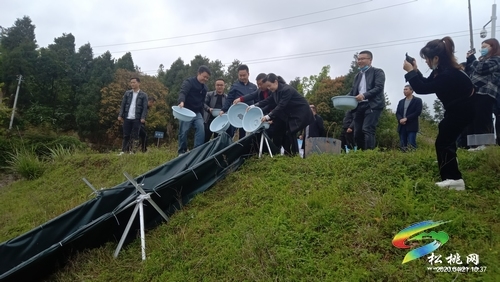 松桃举行大水面生态渔业春季投苗暨架枧水库坝下生态养殖基地建设项目开工仪式