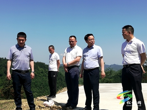 杨昌海到太平营平头大坪场调研抓党建促脱贫攻坚挂牌督战