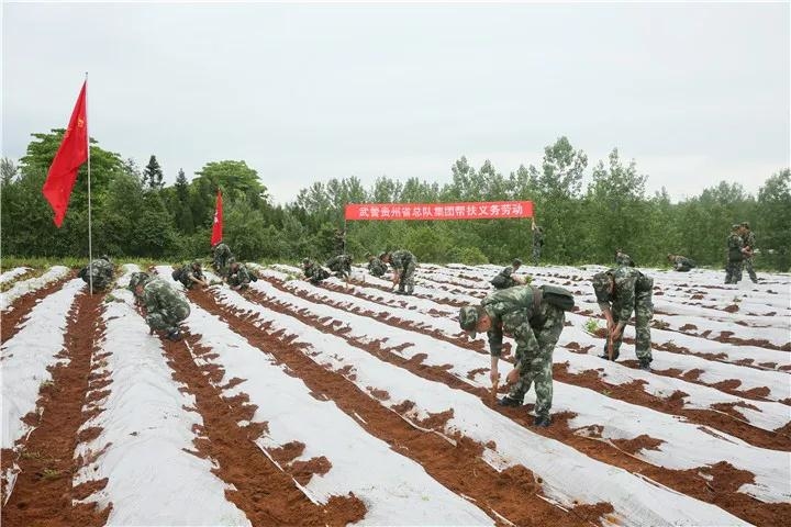 军旗飘扬在战贫战场——武警贵州省总队倾力帮扶松桃苗族自治县大坪场镇脱贫攻坚纪实