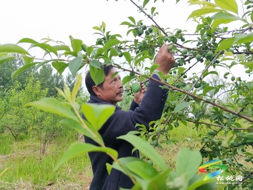 党员联民心 战斗在一线