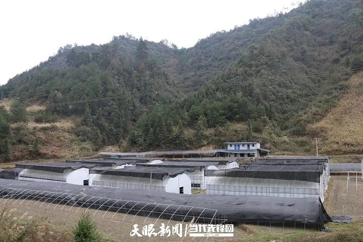 松桃接待游客200余万人，实现旅游收入10余亿元