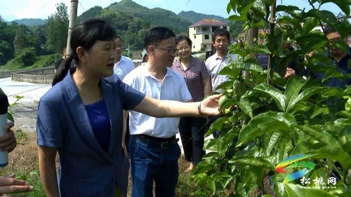 省民宗委来松桃调研“十四五”少数民族地区发展规划编制工作