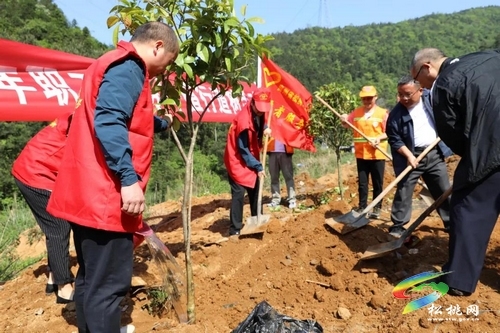 初心不改以路为业 文明花开香溢满园