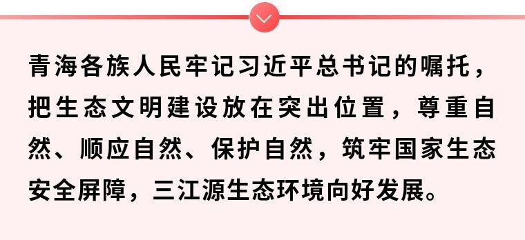 镜观·领航丨这个地方，总书记一直牵挂