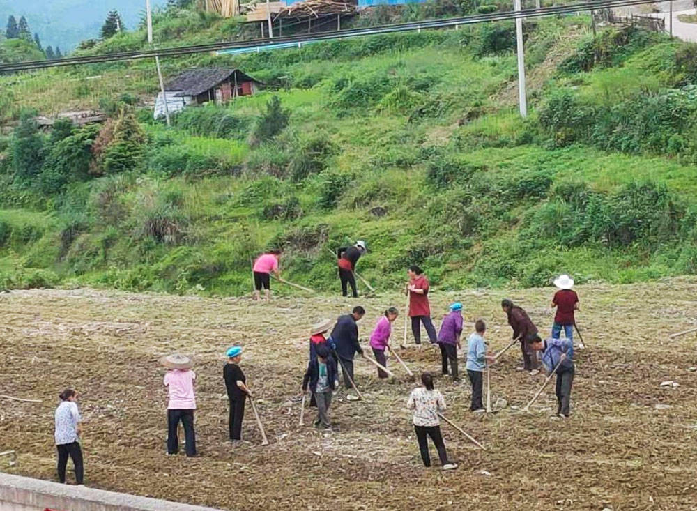 冷水溪镇通塔坪村：组织发动群众调动力、因地制宜促乡村振兴