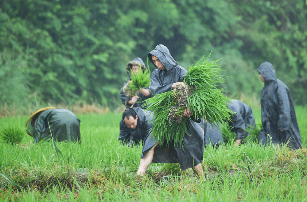 松桃：抢抓农时，民兵冒雨助农栽秧忙