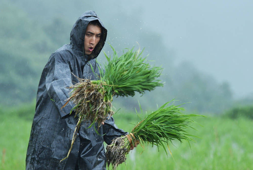 松桃：抢抓农时，民兵冒雨助农栽秧忙