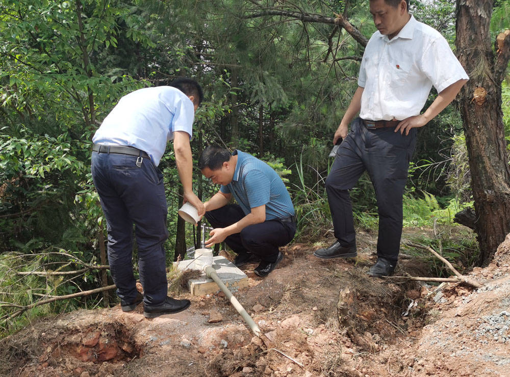 杨秀强到寨英普觉大路长兴堡等地调研地质灾害防治工作