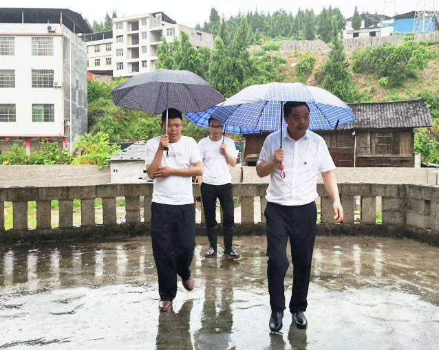 杨秀强到蓼皋街道平头镇县地质防治指挥部调研防汛及地质灾害防治工作