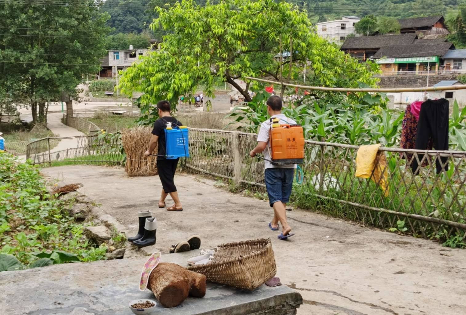 【我为群众办实事】世昌街道：党群灾后共清淤防疫行动我先行