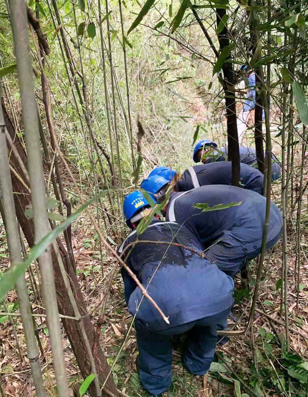 松桃：奔赴在高温下的电网人