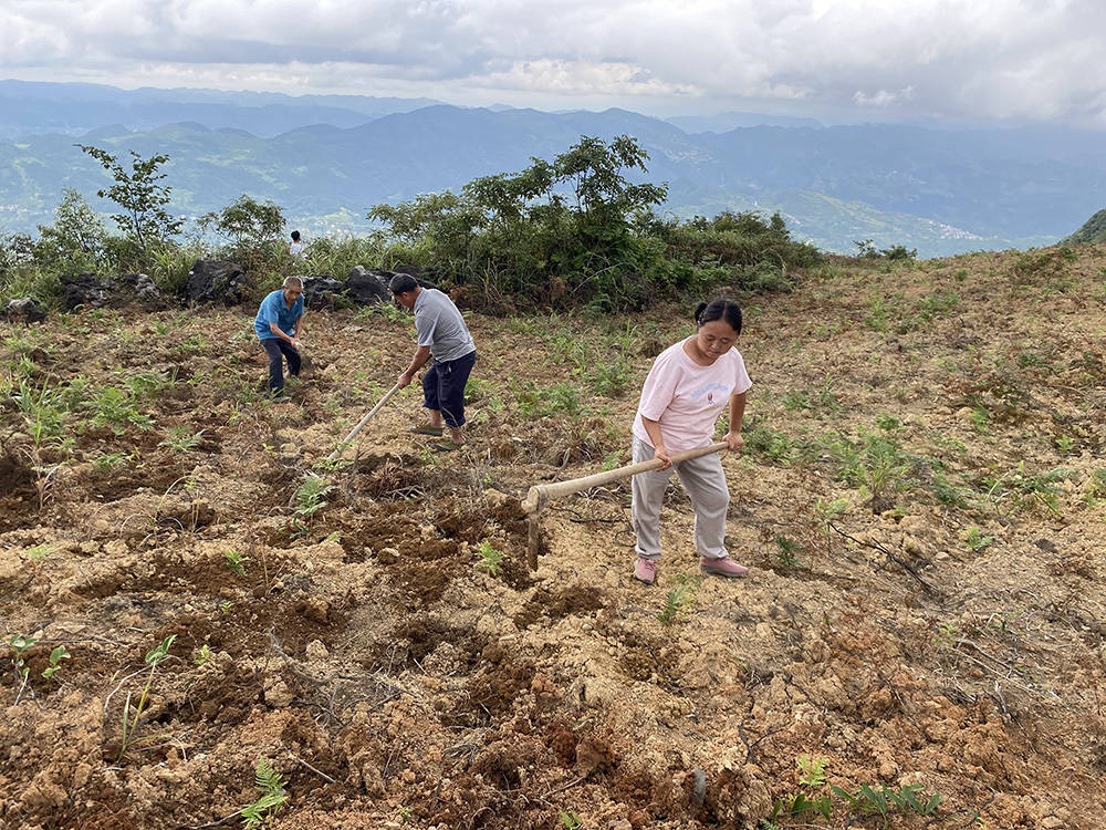 永安乡：以山为基 引水精蕴 拓平道路探振兴《一》