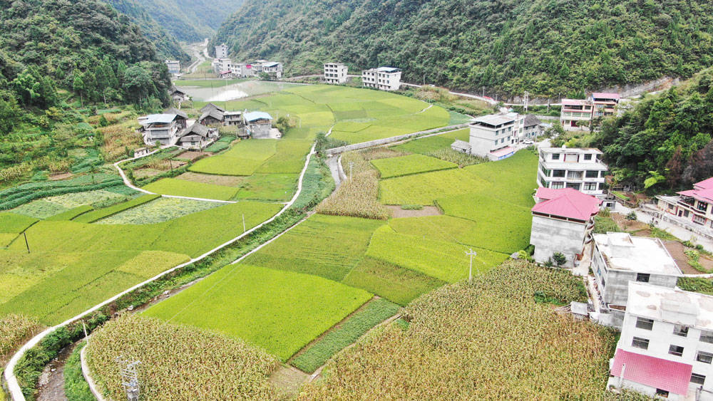 【乡村振兴记者行】永安乡：以山为基引水精蕴拓平道路探振兴《二》