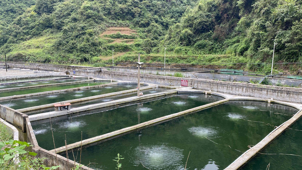 【乡村振兴记者行】永安乡：以山为基引水精蕴拓平道路探振兴《二》