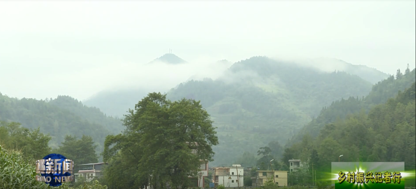 【乡村振兴记者行】永安乡：以山为基引水精蕴拓平道路探振兴《三》