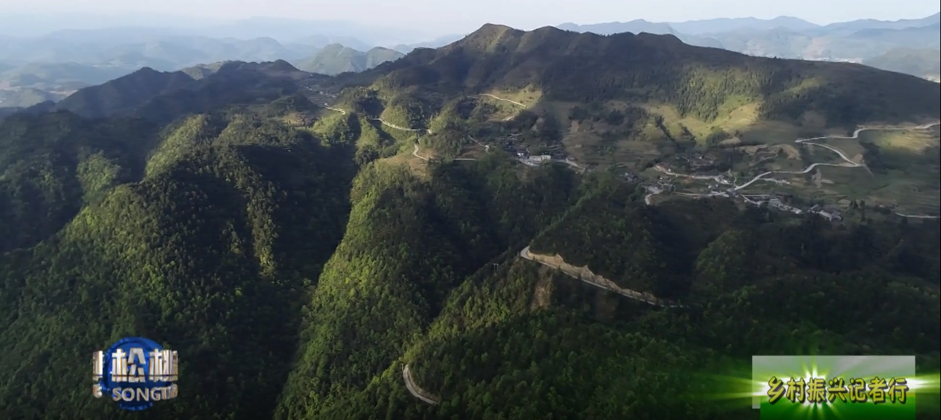 【乡村振兴记者行】永安乡：以山为基引水精蕴拓平道路探振兴《三》