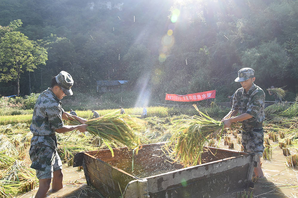 【我为群众办实事】松桃：农家秋收好  民兵助农忙