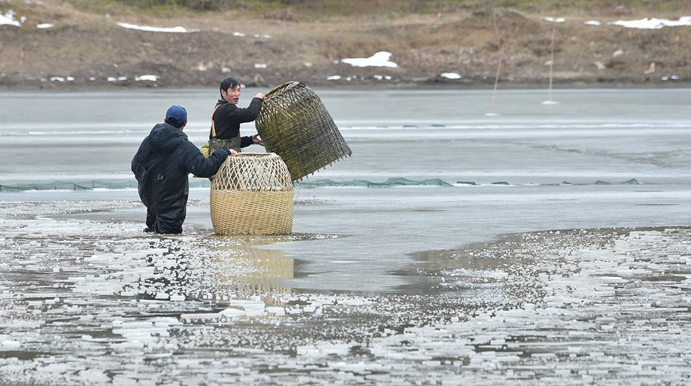 松桃：雪地捕鱼　迎新年