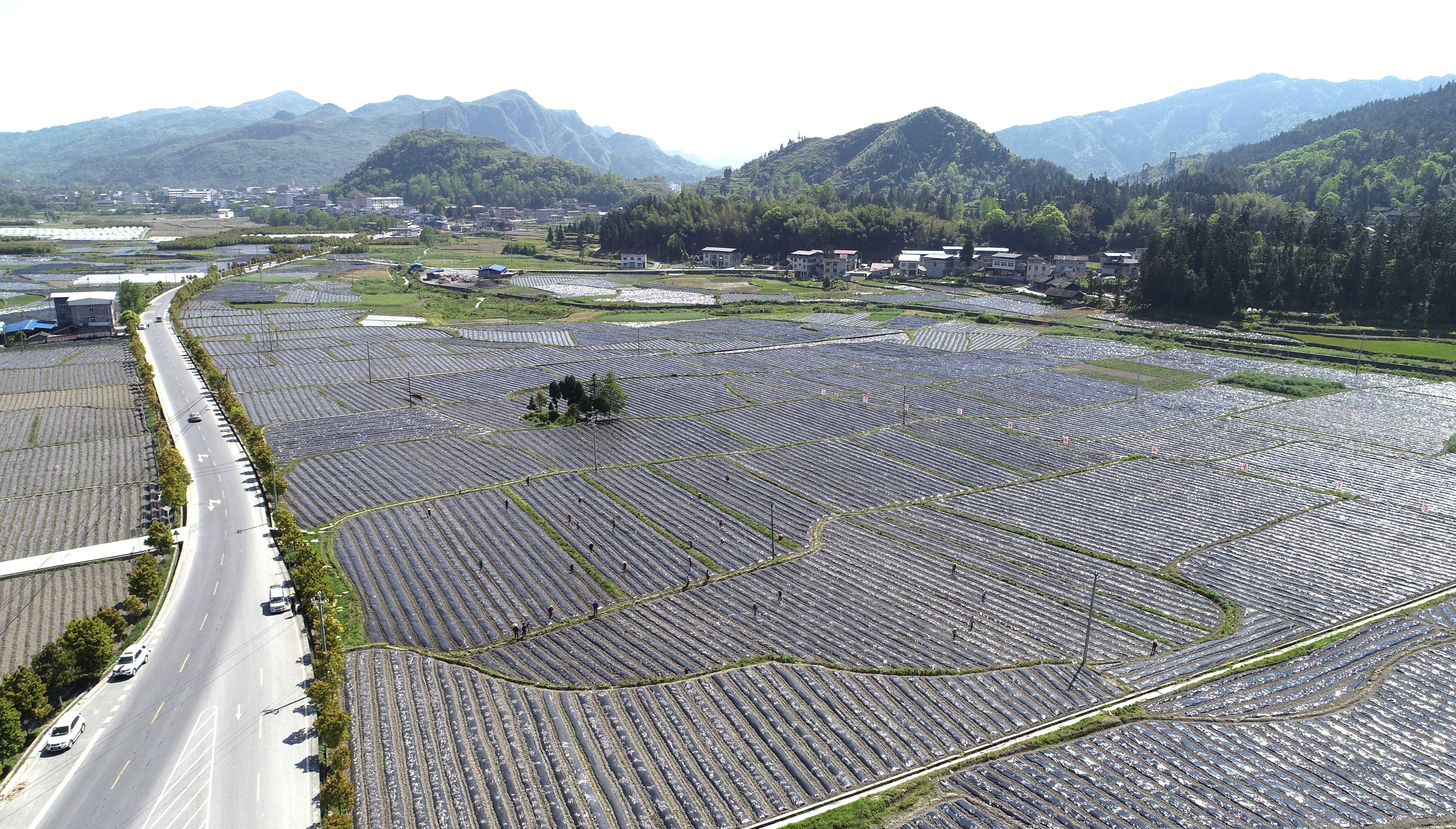 【最美高速路 一品沿印松】沿着沿印松高速看苗乡松桃