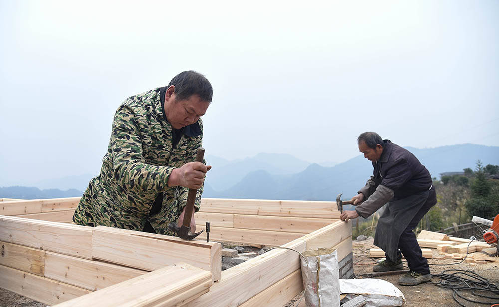 黄板镇：山地旅游再升级　农旅一体助振兴