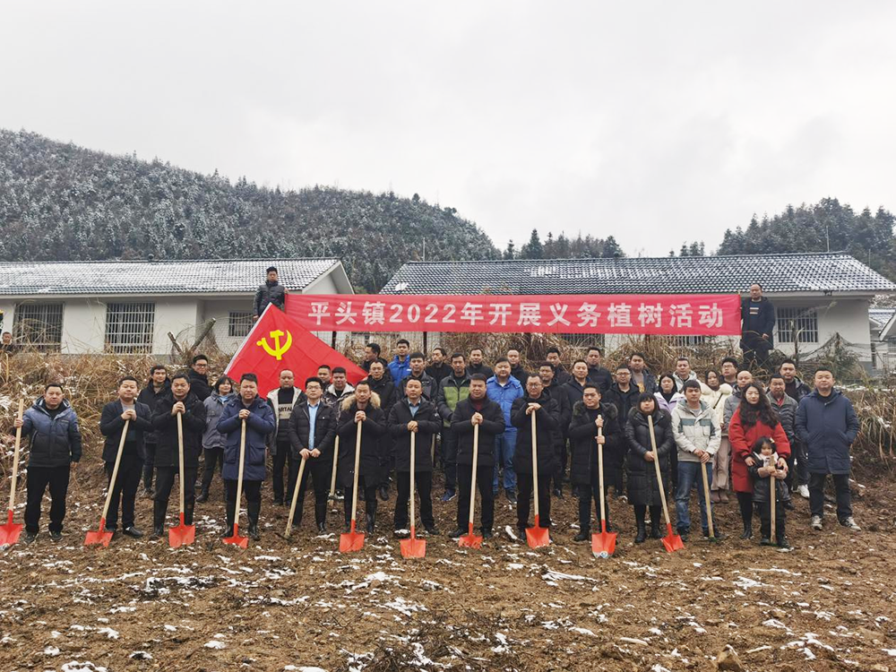 平头镇：植树造林强绿化，乡村振兴添活力