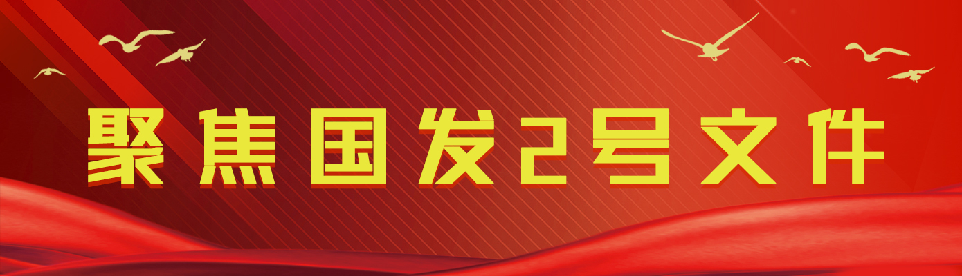 【聚焦国发2号文件】平头镇召开传达学习贯彻新国发2号文件专题研讨会议