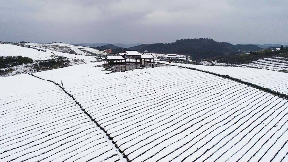 松桃：雪景美如画