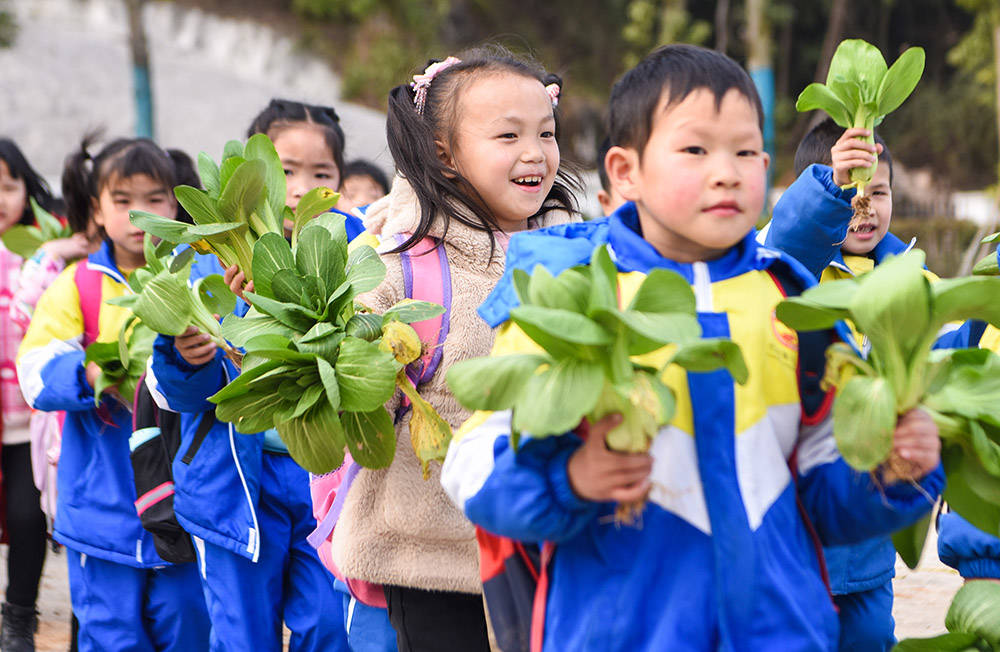 松桃：开学第一课 劳动最光荣