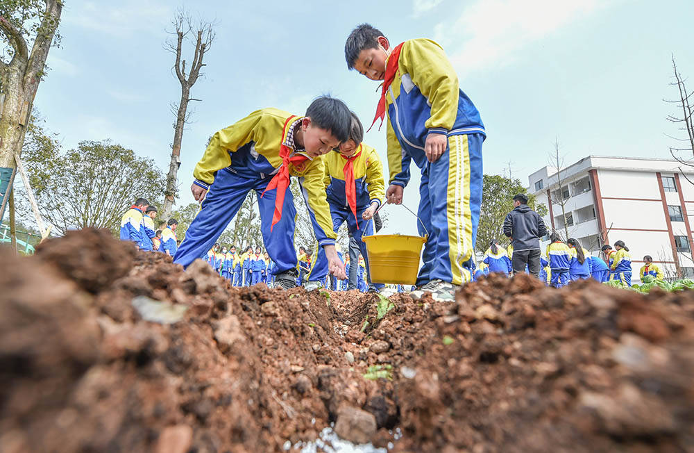 松桃：开学第一课 劳动最光荣