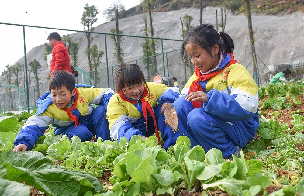 松桃：开学第一课 劳动最光荣