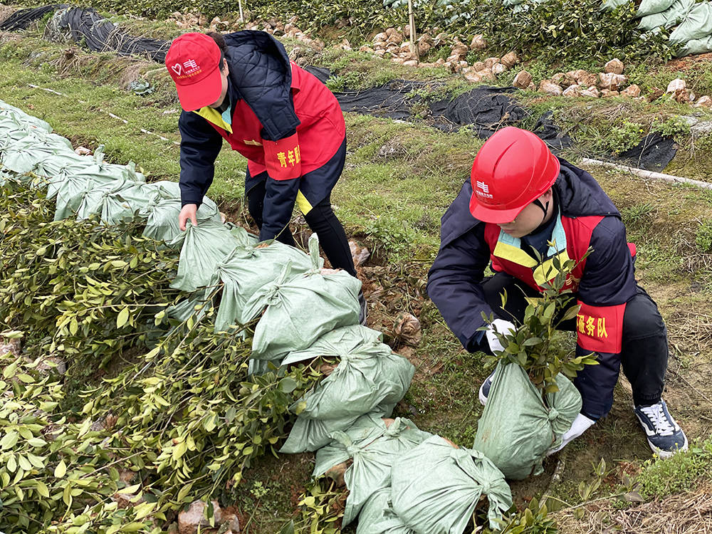 松桃供电局：春耕生产不误时 优质电力来助力