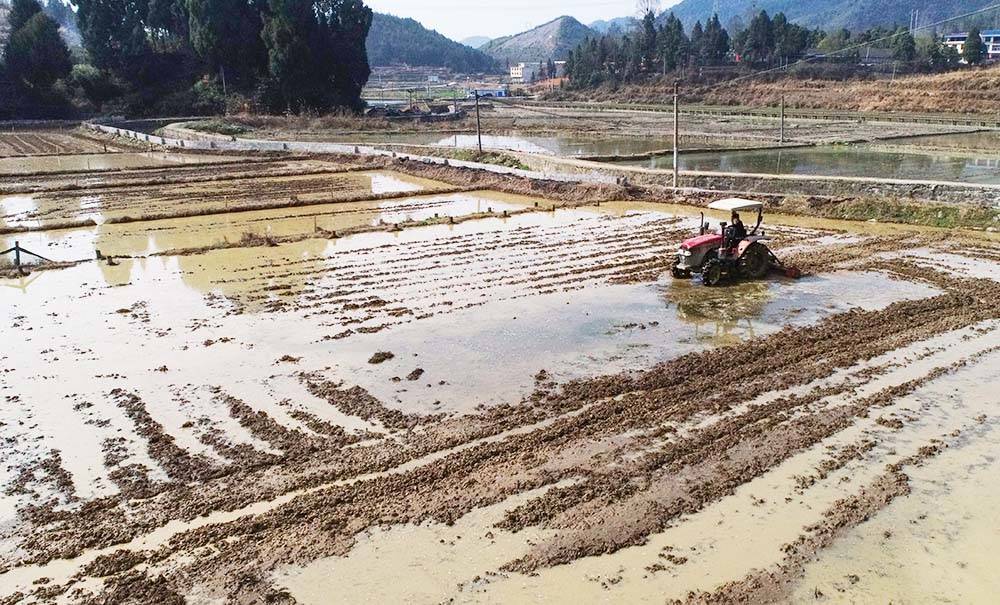 松桃：扎实推进“旱改水”项目 切实保障粮食生产安全