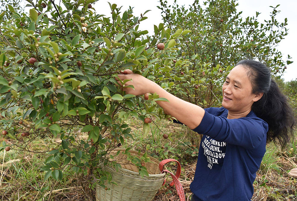 汇聚巾帼群英 逐梦大美苗乡——记松桃苗族自治县女企业家协会成立