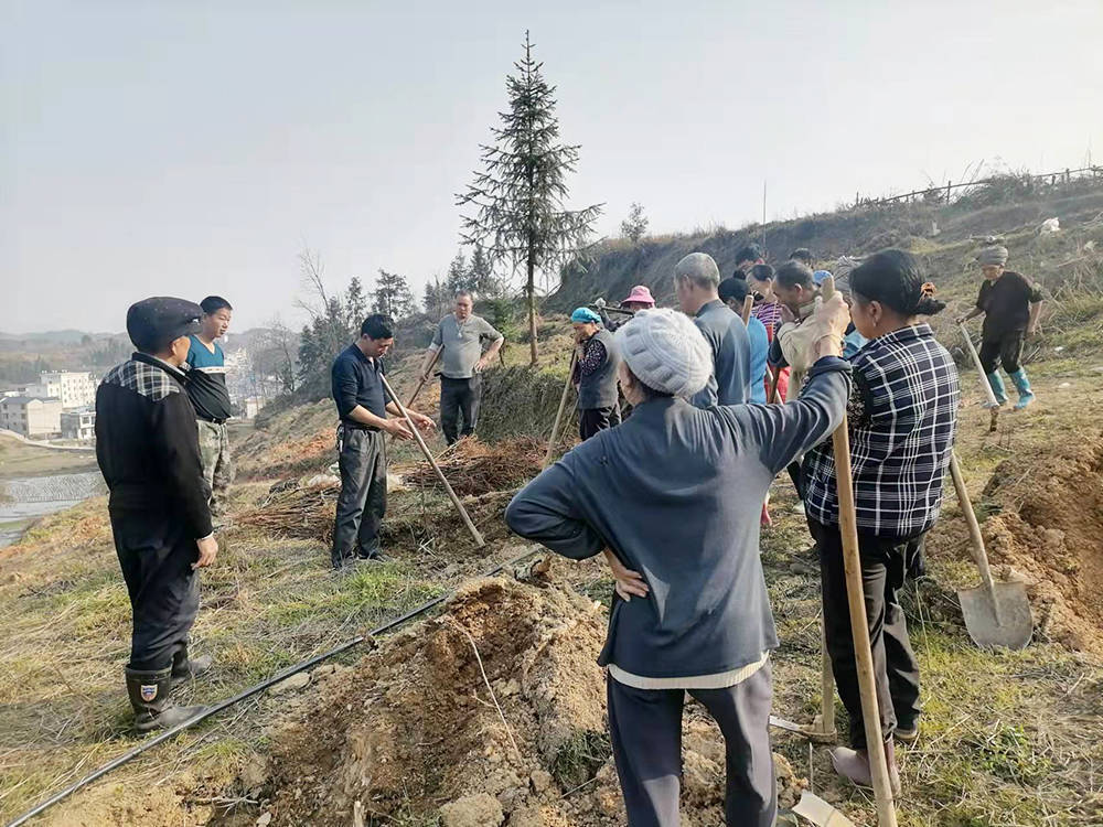 太平营街道：不负春光抢农时，多措并举保春耕