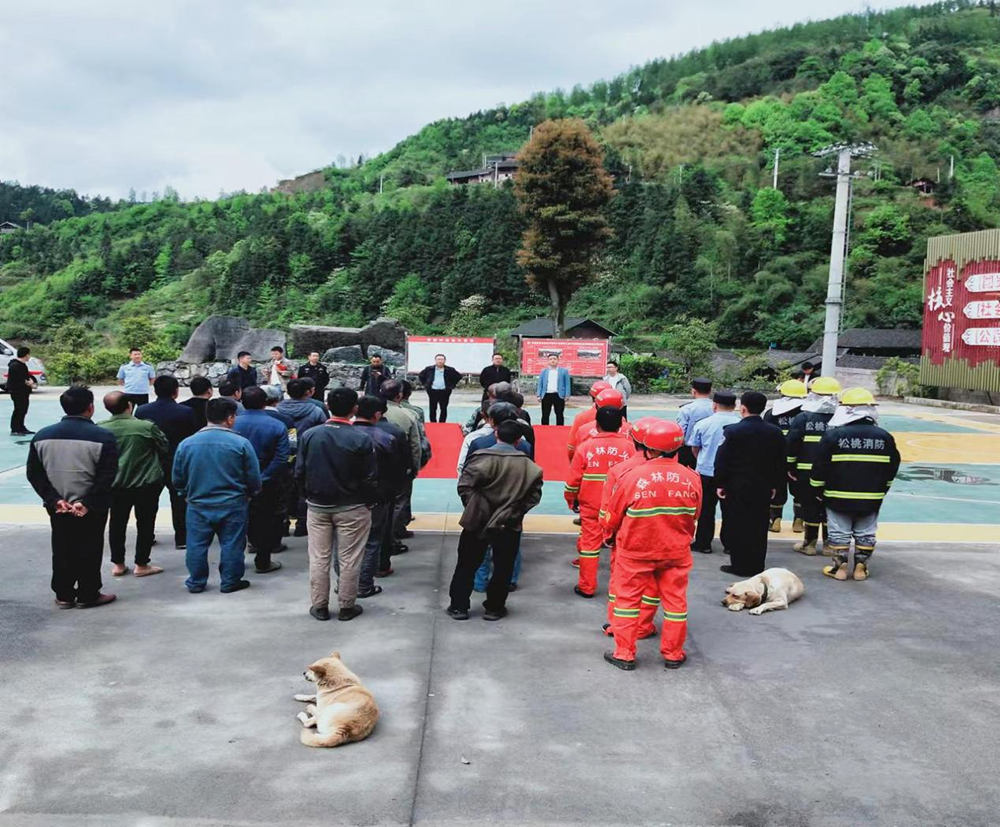 沙坝河乡：开展应急演练筑牢安全防线