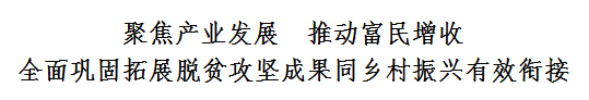 龙群跃到长坪盘石调研时强调