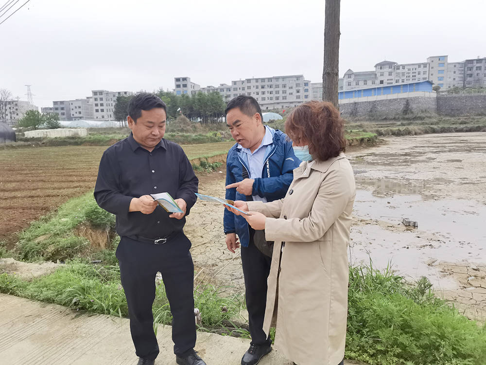 苗乡的“沃土”尖兵——记松桃县管专家石乔龙