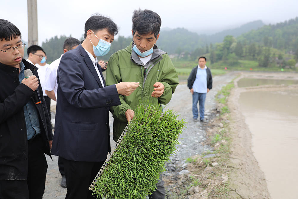 2022年全市农业机械化现场推进会召开