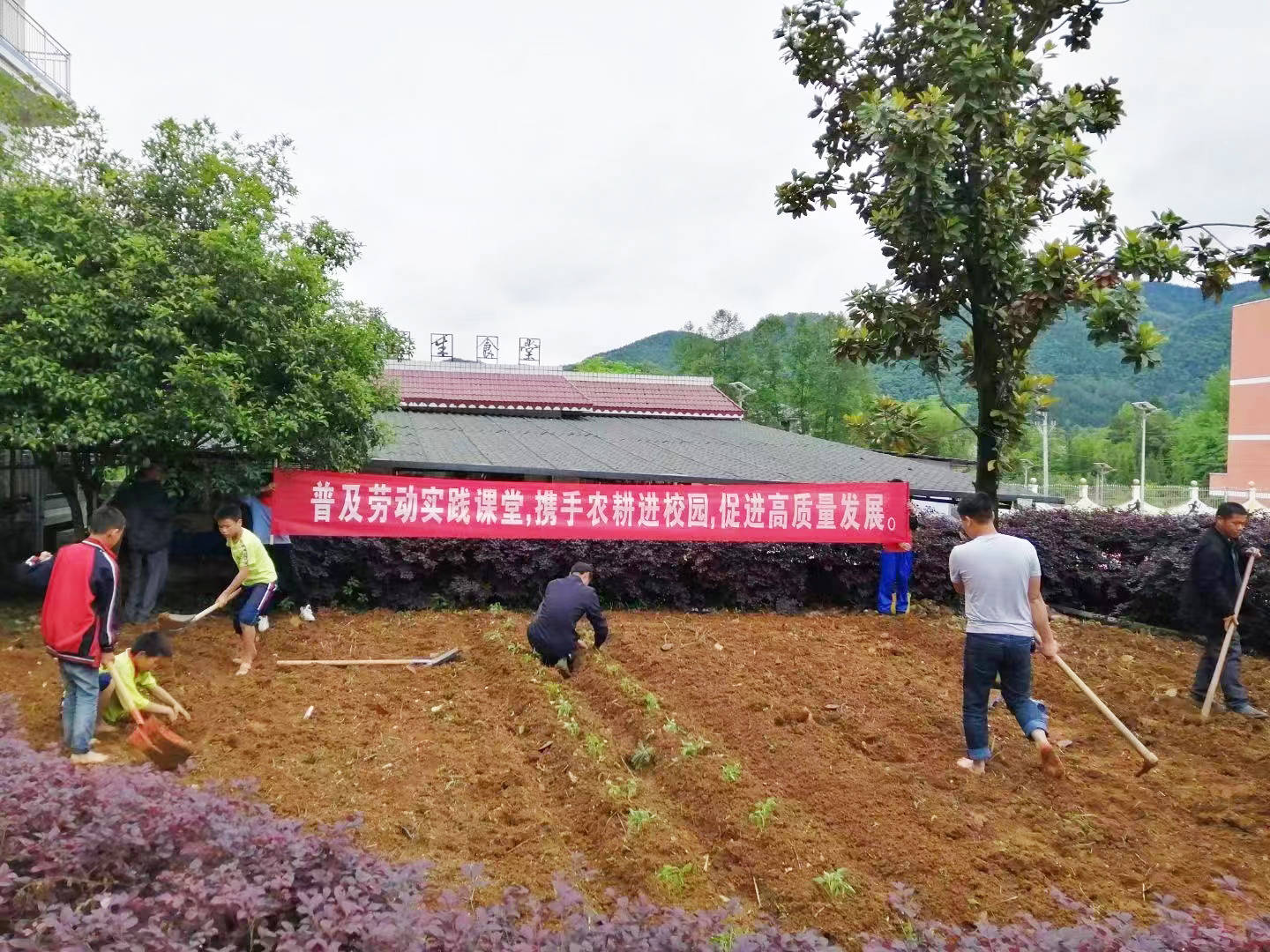 普觉镇大同完小开展劳动实践课活动