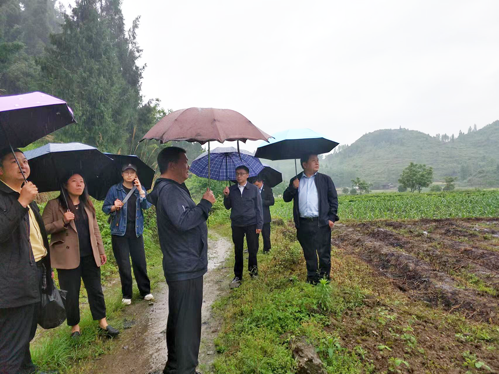 民革铜仁市委到松桃大路镇桂芽村走访调研