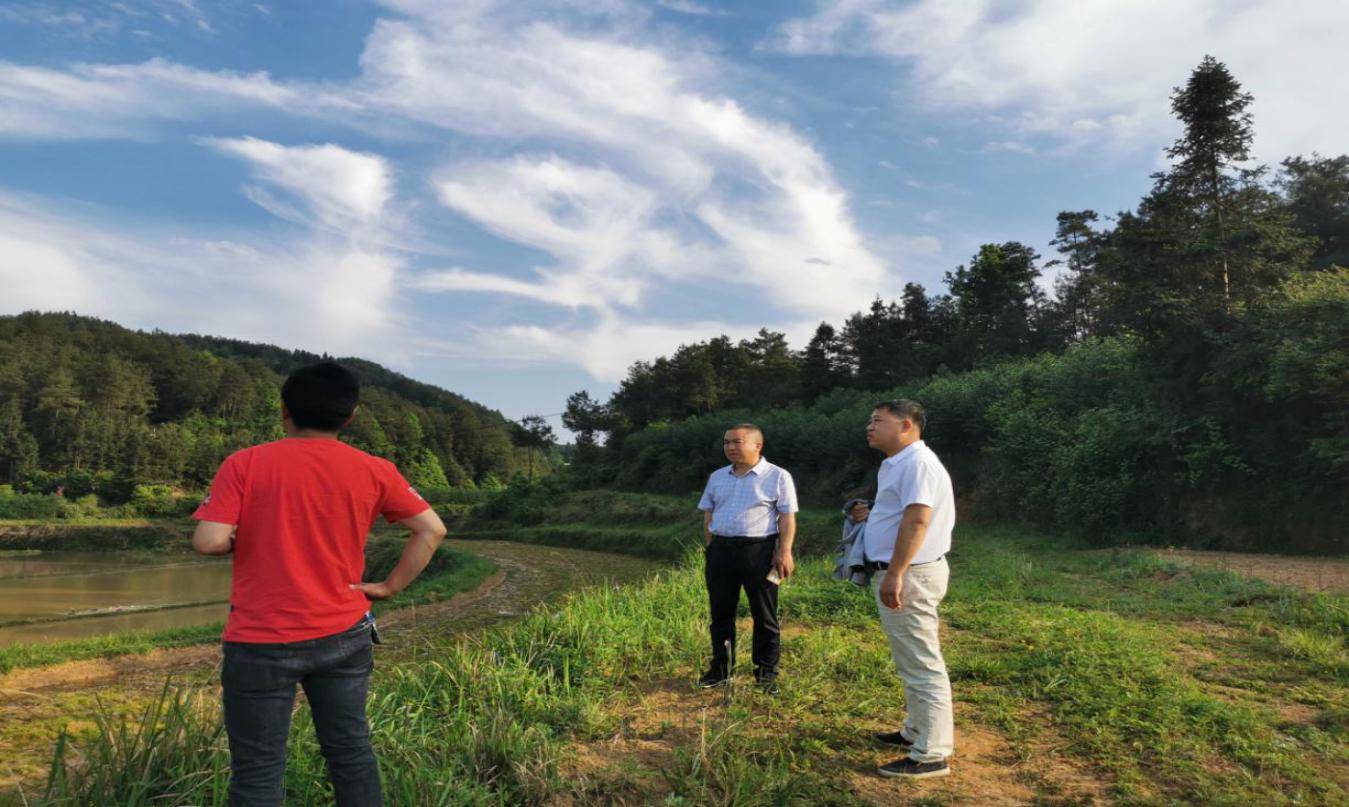 黄板镇：支部建在地块上　高效推动土地提质改造工作