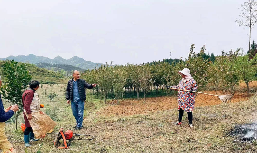 松桃林业局开展森林防火“打非治违”专项行动