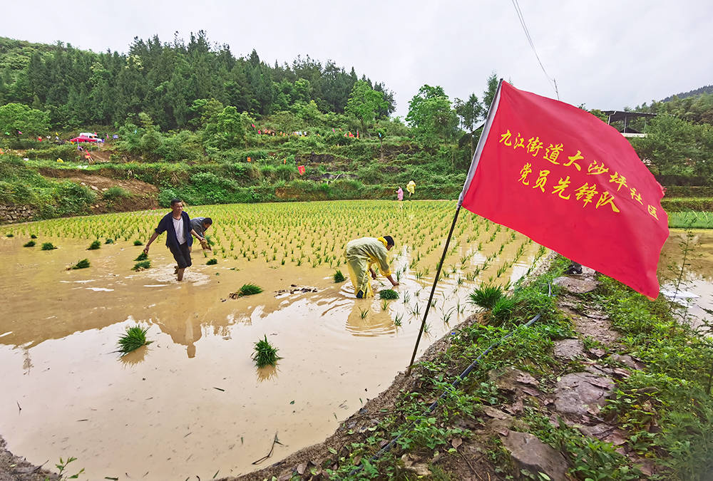 松桃：党建引领促振兴  幸福村景入画来