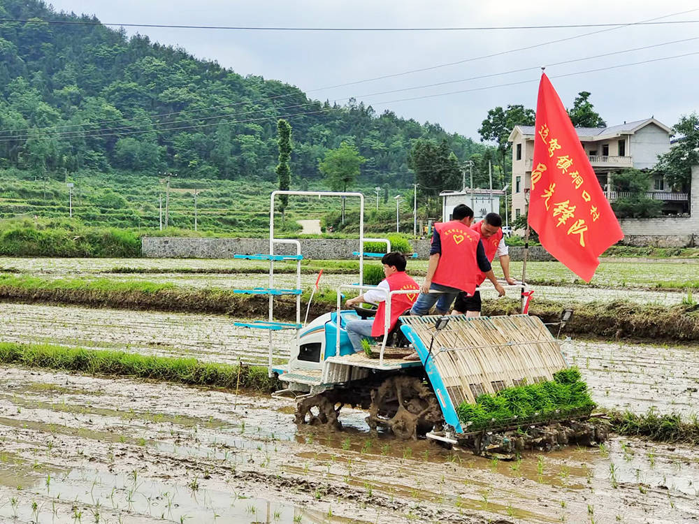 松桃：党建引领促振兴  幸福村景入画来